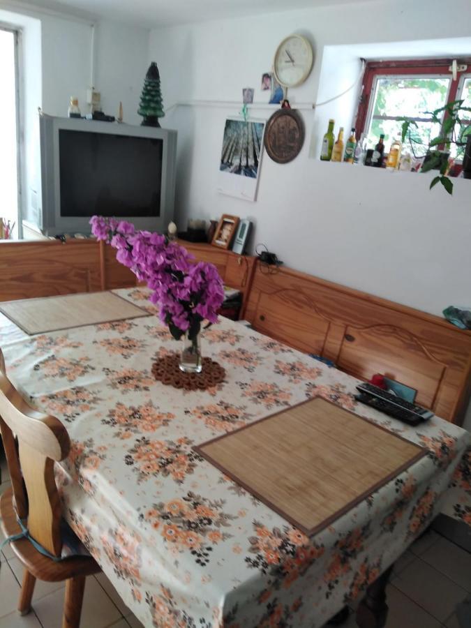 מלון פודאצה Vila Stefan מראה חיצוני תמונה